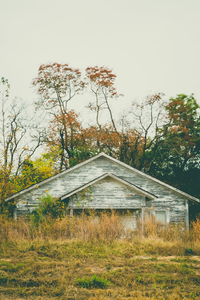 Stark Collection | This Old House