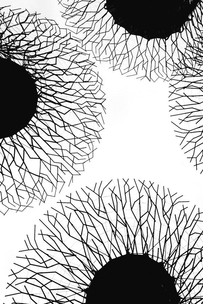 Stark Collection | Supertrees No. 1