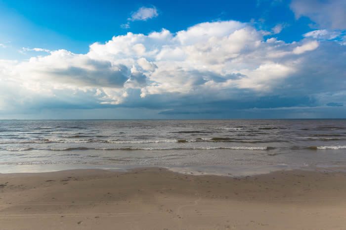 Stark Collection | Beach of Texas