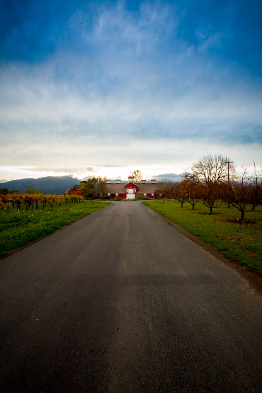 Stark Collection | Red Barn at Frog's Leap