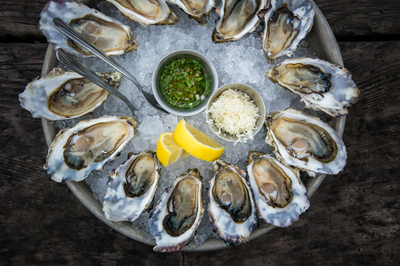 Stark Collection | Hog Island Oysters