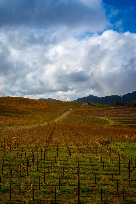 Stark Collection | Pride Mountain Vineyards