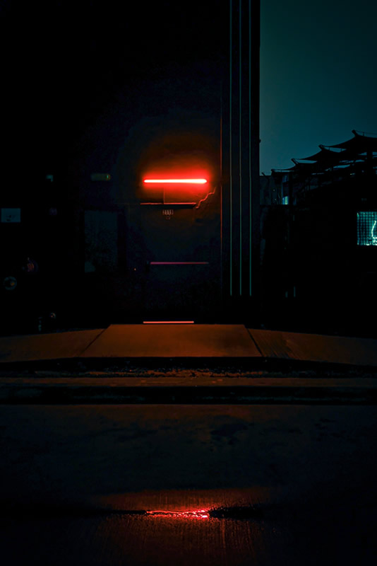 Stark Collection | Under the Neon Light