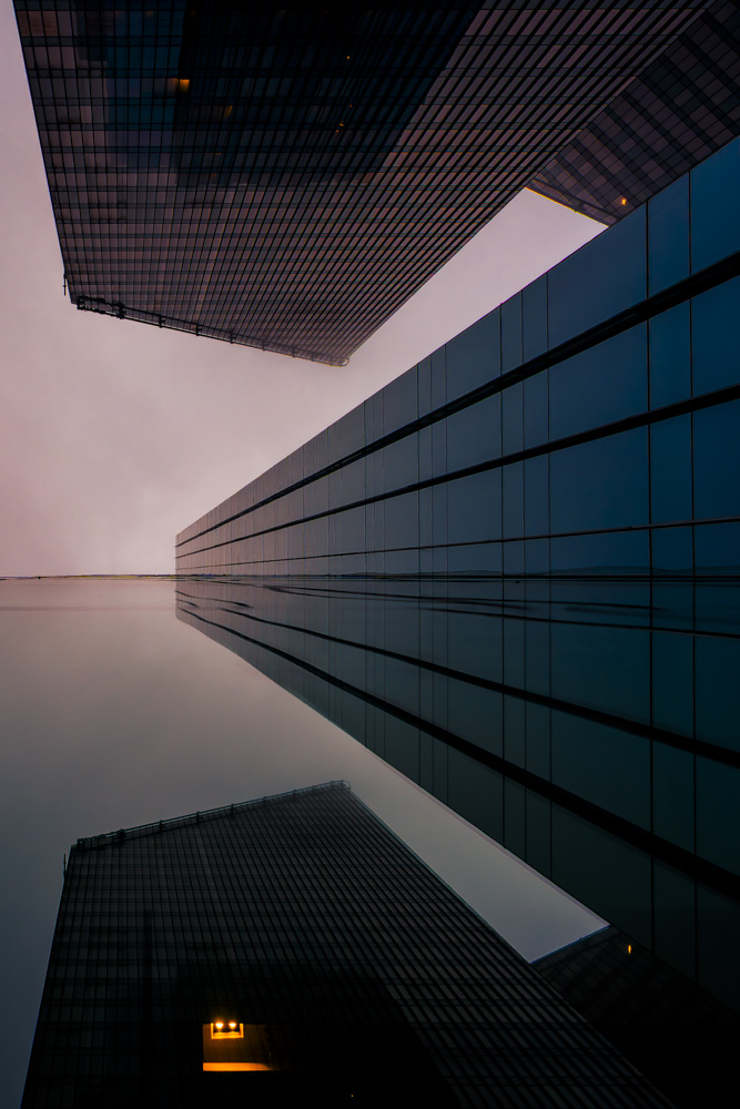 Stark Collection | Moody Reflections